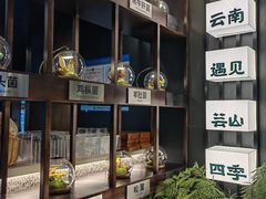 -芸山季·云南野生菌火锅(人民广场来福士店)