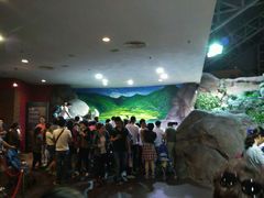 -上海海洋水族馆-停车场