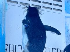 -海合安青岛极地海洋公园