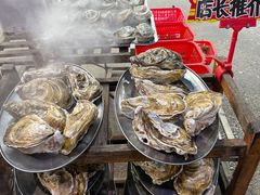 -蚝专家(北滘店)