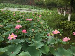 -董永七仙女文化园