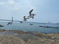 -星海广场