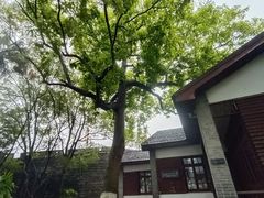 -蒋经国旧居