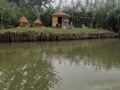 -泗洪洪泽湖湿地景区