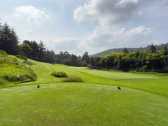 -阳光高尔夫俱乐部