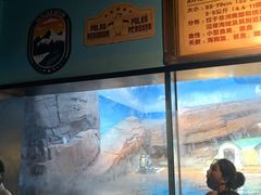 -海合安武汉极地海洋公园