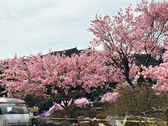 -茅山东方盐湖城景区