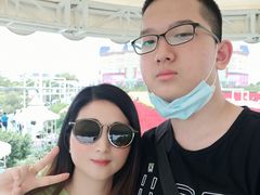 -百万葵园