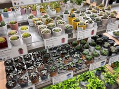 -鹿岛会员店(熙地港店)
