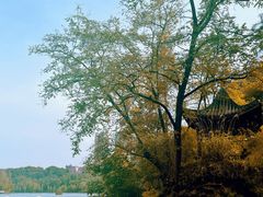 -重庆彩云湖湿地公园