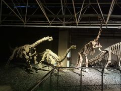 -世界恐龙谷景区