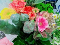-山姆会员商店(杨桥西路店)