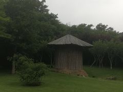 -棒棰岛宾馆景区
