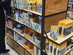 -西沃古尔·拉姆古兰爵士国际机场