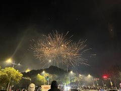 -中集金地美兰城