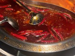 -辣伍鲜毛肚老火锅(元一店)