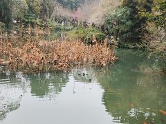 -成都杜甫草堂博物馆