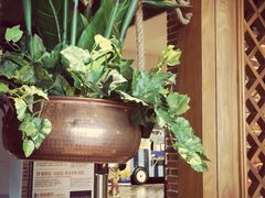 -云海肴·汽锅鸡·云南菜(天山百盛优客店)