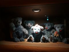 -济州岛泰迪熊博物馆