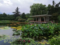 -国家植物园南园