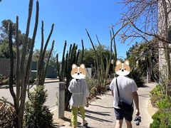 -圣地亚哥动物园
