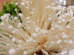 -九府羊鲜羊火锅·烧烤·小海鲜(华汇大厦店)