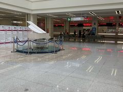 -深圳大学总医院