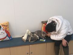 -美联众合动物医院·24h京西诊疗中心