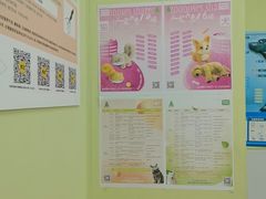 -瑞鹏宠物医院·夜间急症·心超·猫科(祖庙分店)