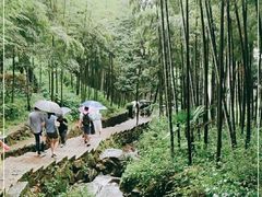-莫干山风景区