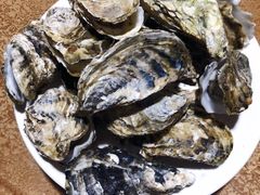 -东戴河风景区-止锚湾