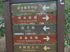 -西青郊野公园