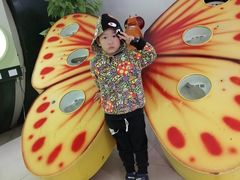 -上海昆虫博物馆