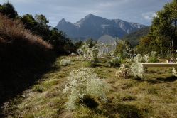 -DNA Wedding 婚礼记(上海店)