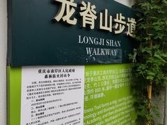 -南山植物园