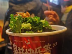 -黑色经典臭豆腐·湖南特产(太平街口店)