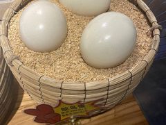 -鸽子窝(宋庄店)