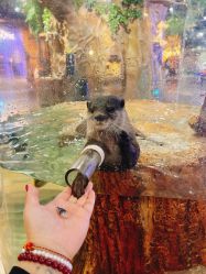 -Zoolung Zoolung动物主题公园(海信广场店)