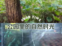 -日照海滨国家森林公园