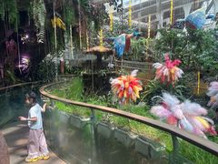 -正佳雨林生态植物园