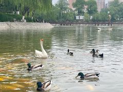 -中国农业博物馆
