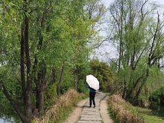 -西溪国家湿地公园