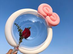 -美的鹭湖森林度假区