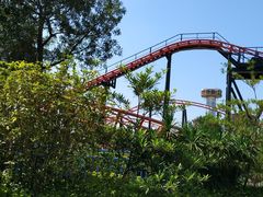 -大信·云顶星河游乐王国