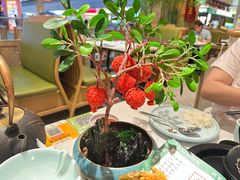 -奔跑吧陕菜·盛世长安(民乐园万达店)