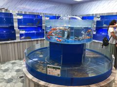 水产区-百姓渔村(朝阳店)