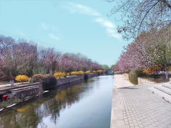 -元大都城垣遗址公园