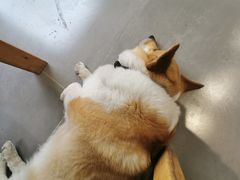 -阿木舂记·特色小吃(平江路店)