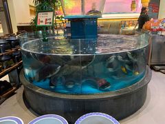 -魏铭鱼头捞饭(晋阳路店)