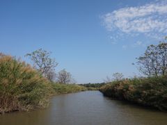 -大湾区中央湿地公园